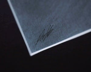 Image of Predator - (open edition print) 
