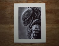 Image 1 of Predator - (Original Drawing)