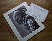Image 2 of Predator - (Original Drawing)