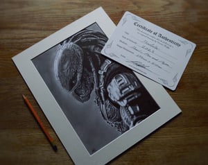 Image of Predator - (Original Drawing)