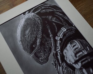 Image of Predator - (Original Drawing)