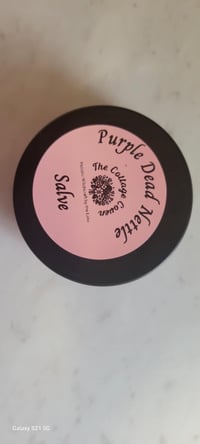 Image 1 of Purple Dead Nettle Salve