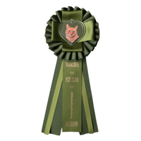 Image 1 of First Place Ribbon Pin