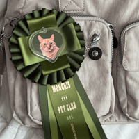 Image 2 of First Place Ribbon Pin