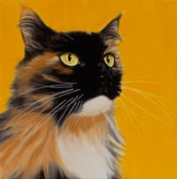 Fluffy