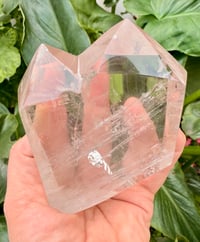 Image 1 of CONJOINED CLEAR QUARTZ POINTS