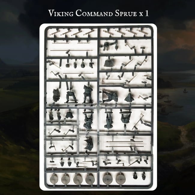 Viking Warband