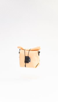 Image 3 of Banana Bags 