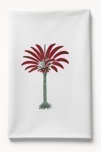 Image 1 of PAREO PALMERAS