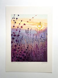 Purple Sage Sunset