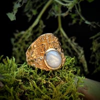 Damask Shield Gray Star Sapphire Ring 