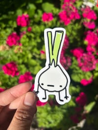 Allium sticker 