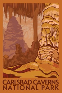 Image 2 of Carlsbad National Park Poster
