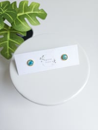 Bahamian Waters Button Studs (S)