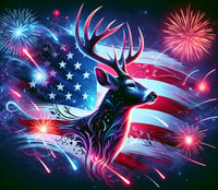 Image 1 of  12 point and free