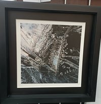 Crystal Feathers Limited edition print