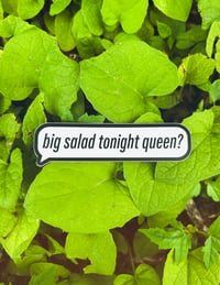 BIG SALAD? Sticker
