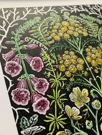 Image 2 of ‘In Bloom’ (Colour variant). Very limited edition of 5 