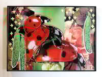 Image 4 of Small frames