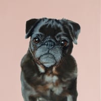 Bella