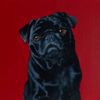 Sam