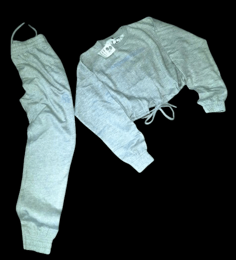 Image of Queen's Only Edition/ crop top jogging suit