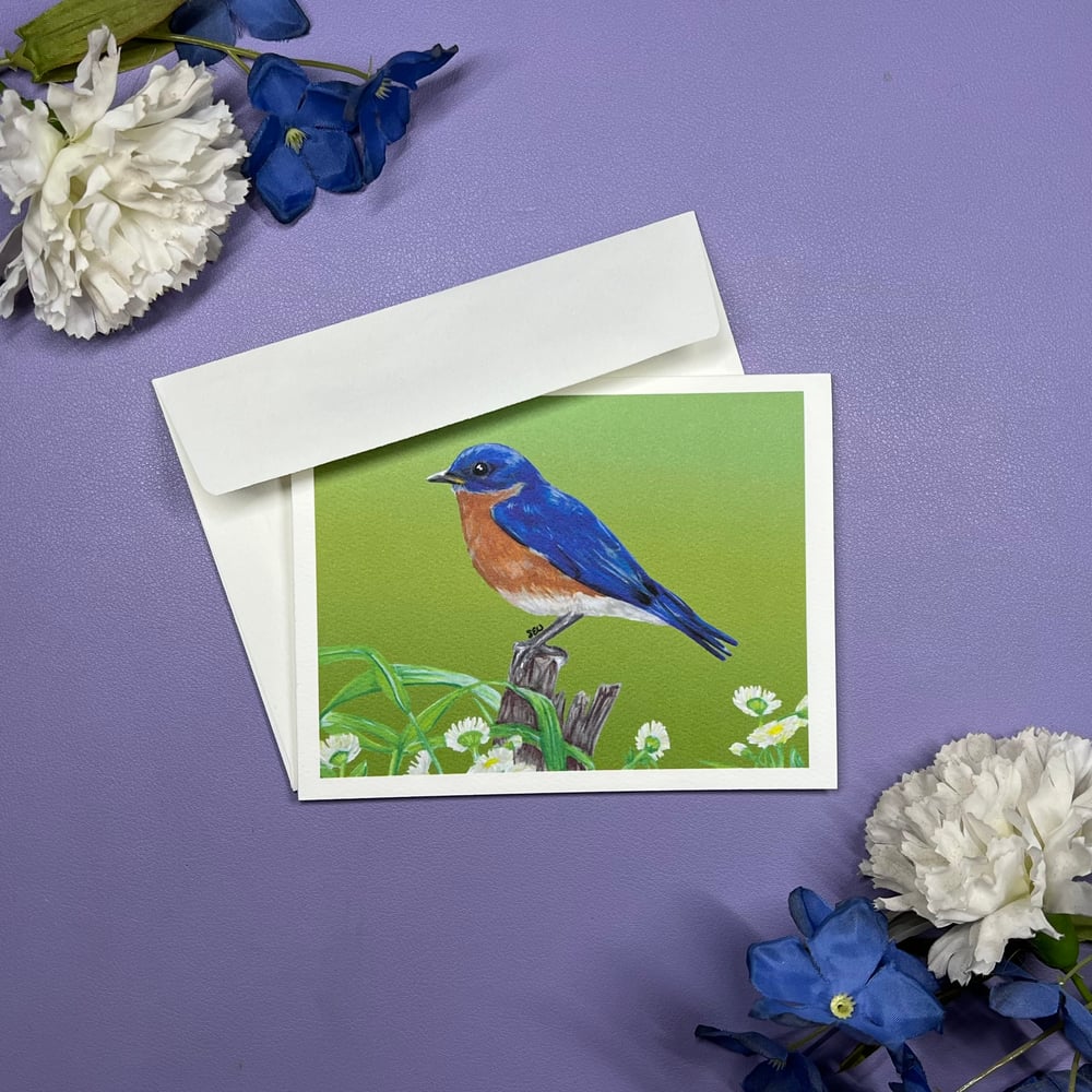 Image of Bluebird