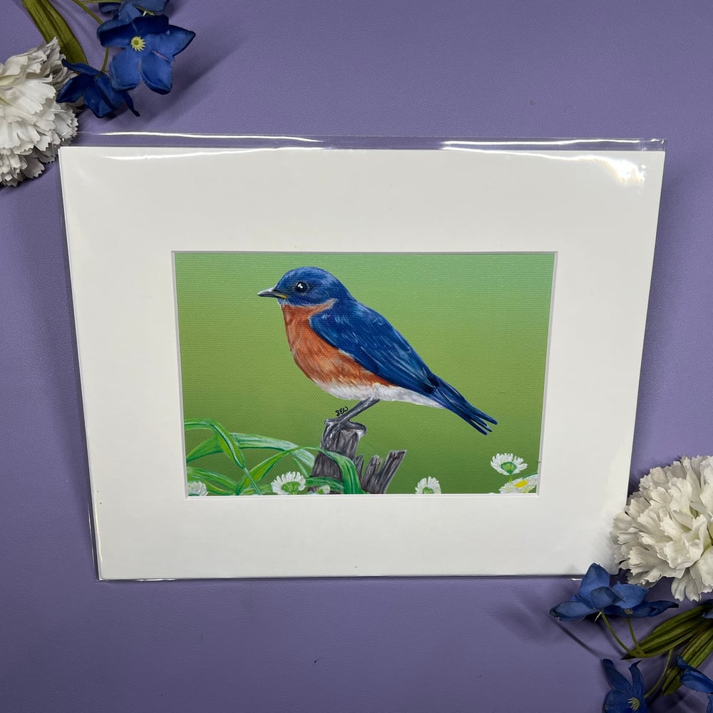 Image of Bluebird