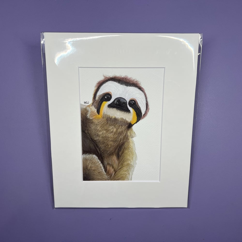 Image of Sloth