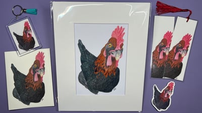 Image of Chicken