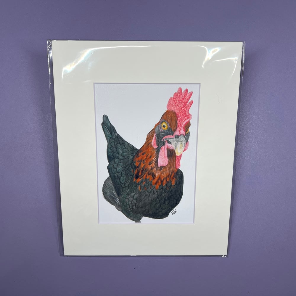 Image of Chicken