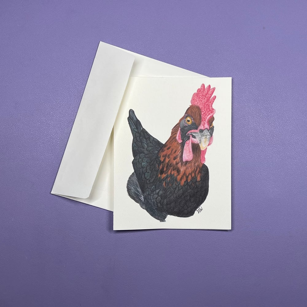 Image of Chicken