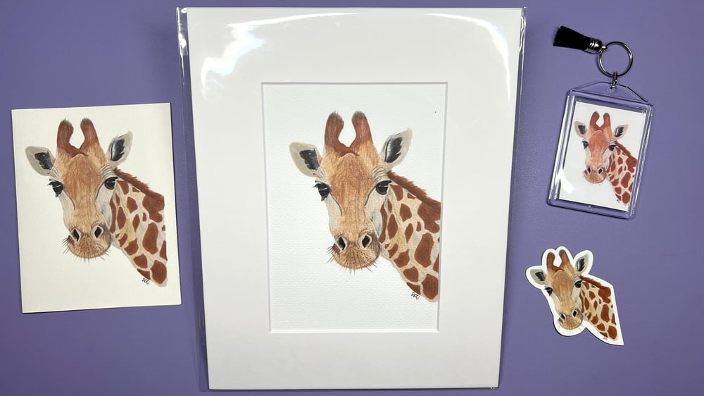 Image of Giraffe