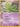 Treecko (Delta Species) - Crystal Guardians - Lightly Played
