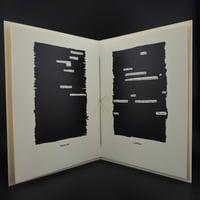 Image 5 of Tasting the Air: Poems of Love + Loss / blackout poetry zine