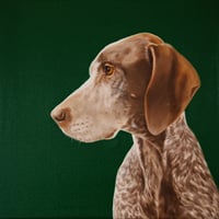 Hazel