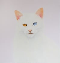 Lola