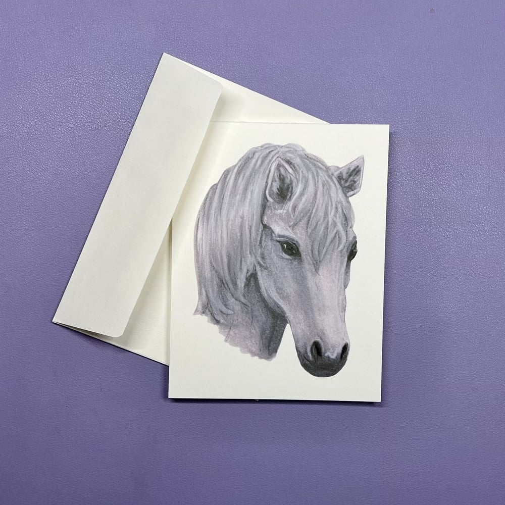 Image of Horse