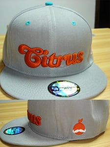 Image of Snapback