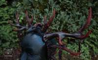 Image 6 of Bloodwood Ritual Crown