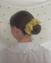 Image 1 of Polka Dot Doughnut #1
