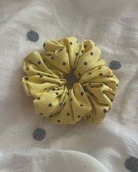 Image 2 of Polka Dot Doughnut #1