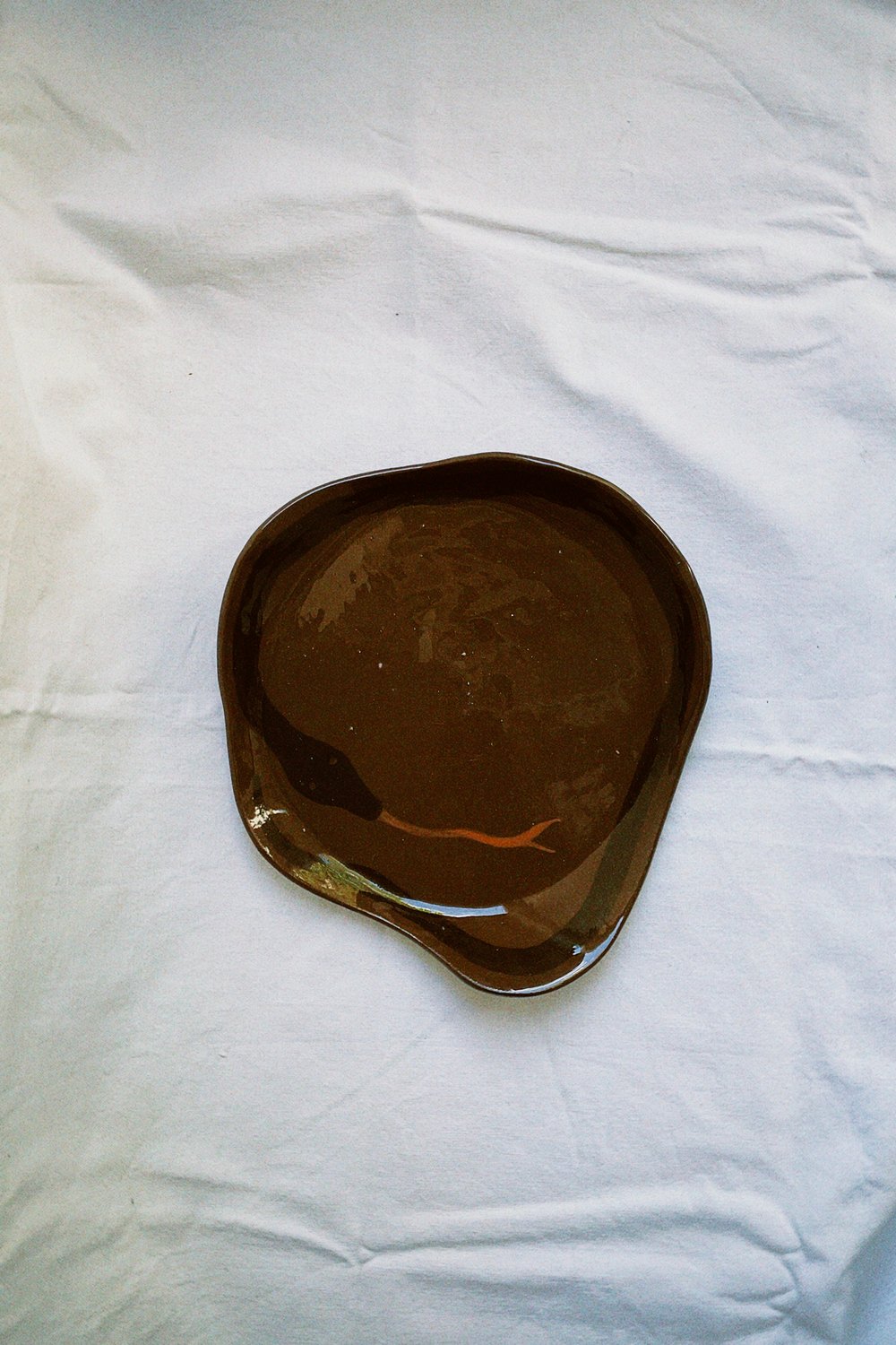 Image of Dark snake plate