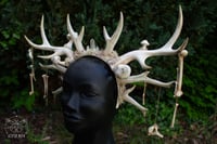 Image 5 of Bone Mother's Whisper Crown 