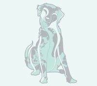 Image 1 of 08/Aug: Go Fetch