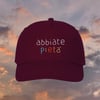 ABBIATE PIETÀ - CAP