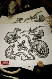 Image 2 of Late Cretaceous