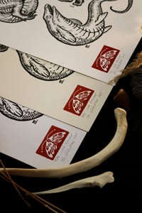 Image 3 of Late Cretaceous