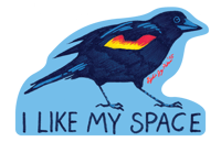 Image 2 of Red-Winged Blackbird Sticker