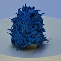 Image 3 of Spikey gus - blue